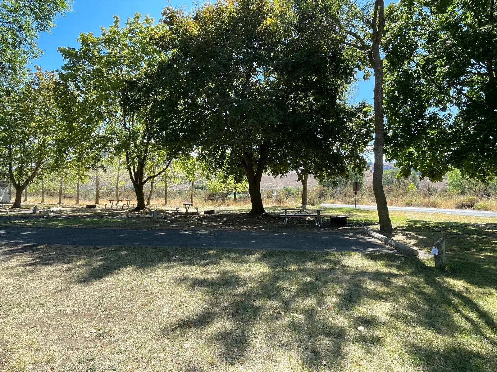 Keller Ferry Campground: Keller Ferry Campground Site 14