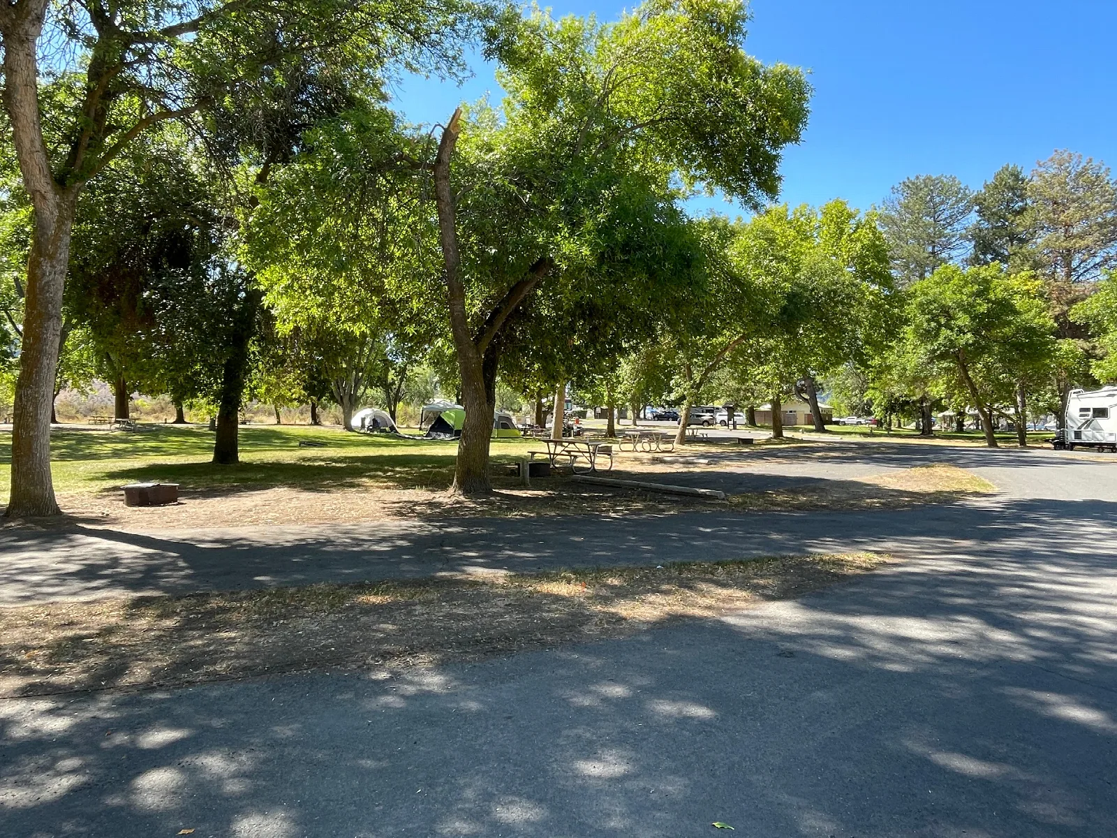 Keller Ferry Campground: Keller Ferry Outer Loop