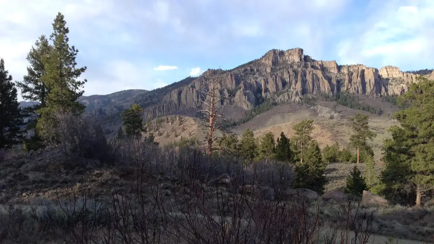 Ponderosa - Curecanti National Recreation Area: Ponderosa Campground