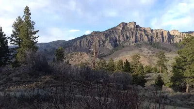 Ponderosa - Curecanti National Recreation Area