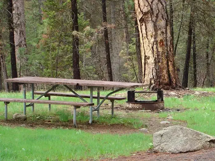 Camp Creek Campground: Campsite with picnic table and fire ring