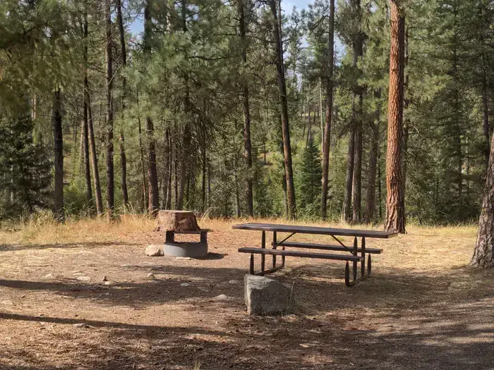Camp Creek Campground: Camp Creek Campground campsite