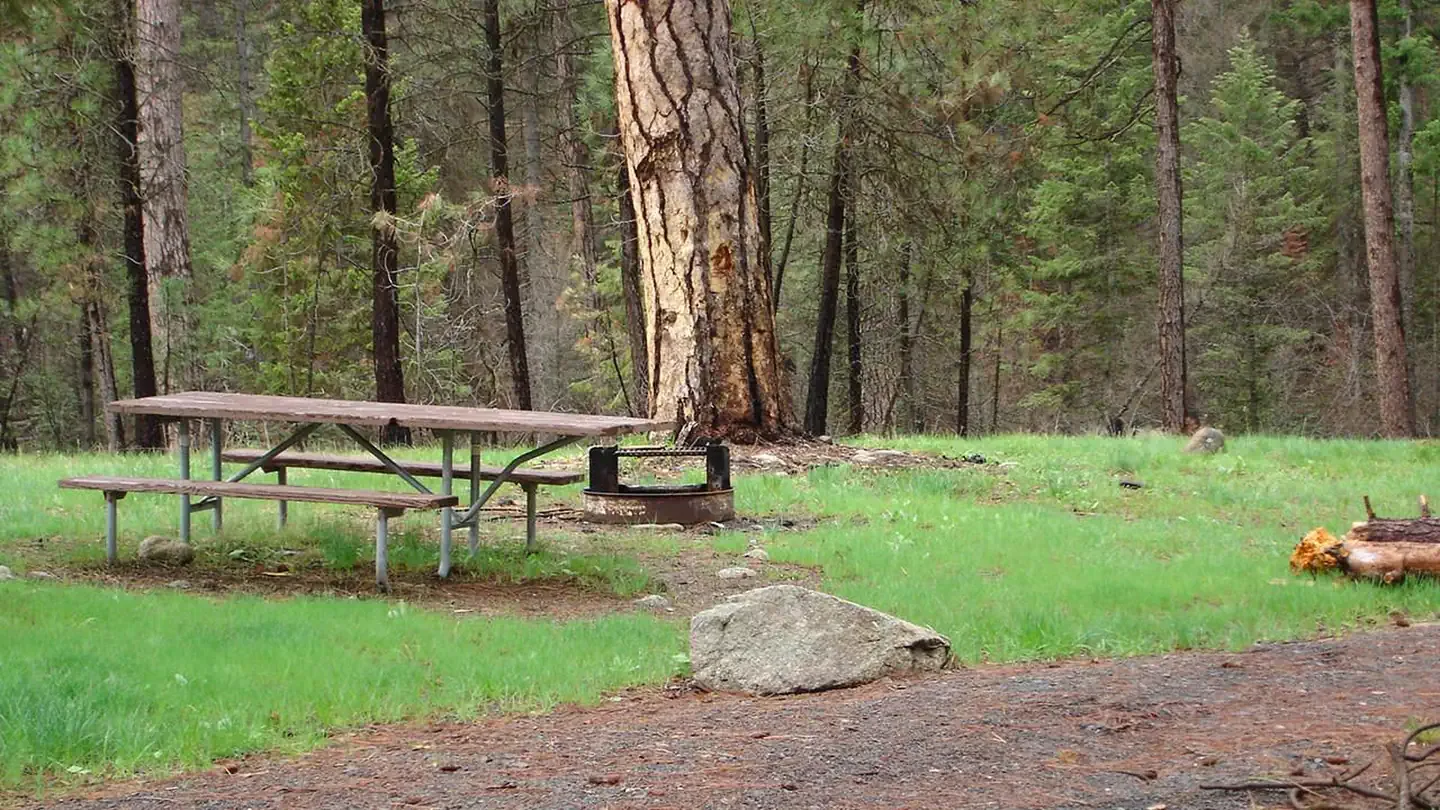 Camp Creek Campground: Forested setting with campfire ring and picnic table.