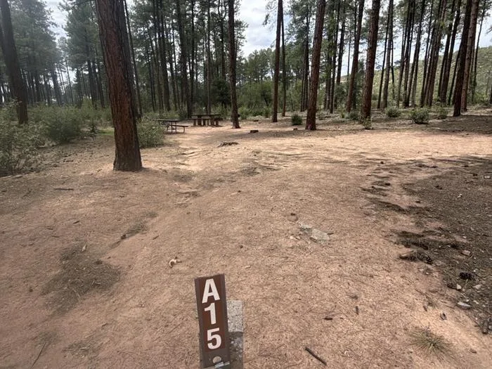 Ponderosa (az)