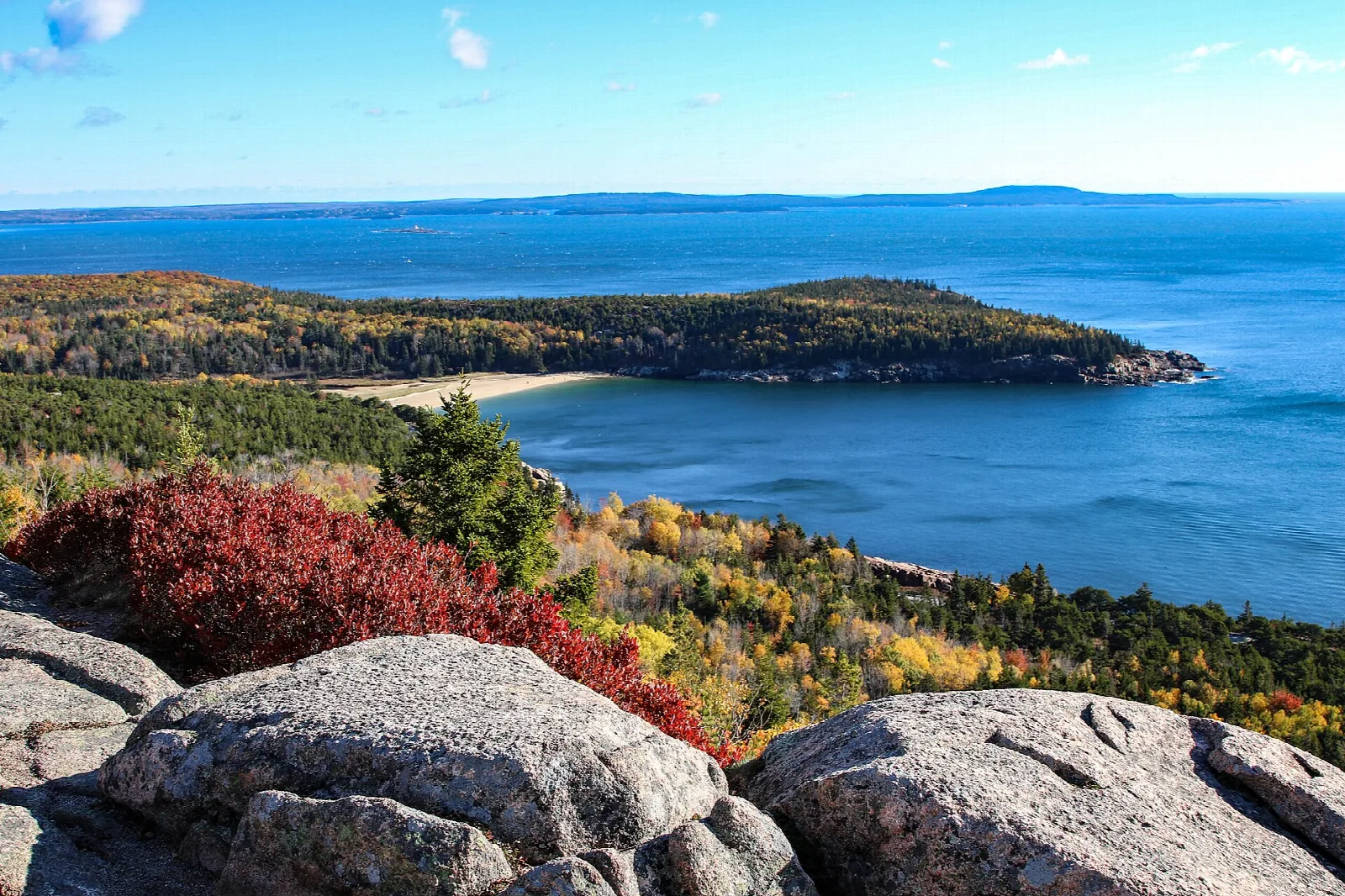 Red autumn shrubs on granite above a curved beach and a forested headland in a blue sea