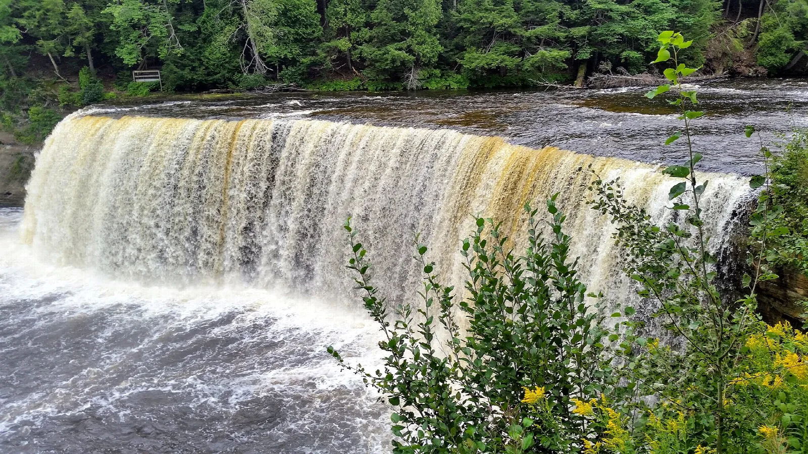 Wide amber waterfall dropping into a churning river, with green plants in front