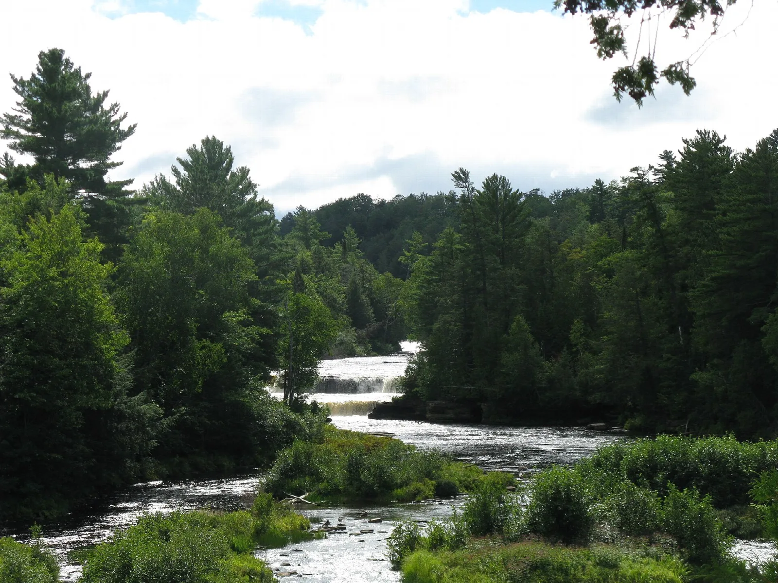 River rapids running between evergreen and hardwood forest