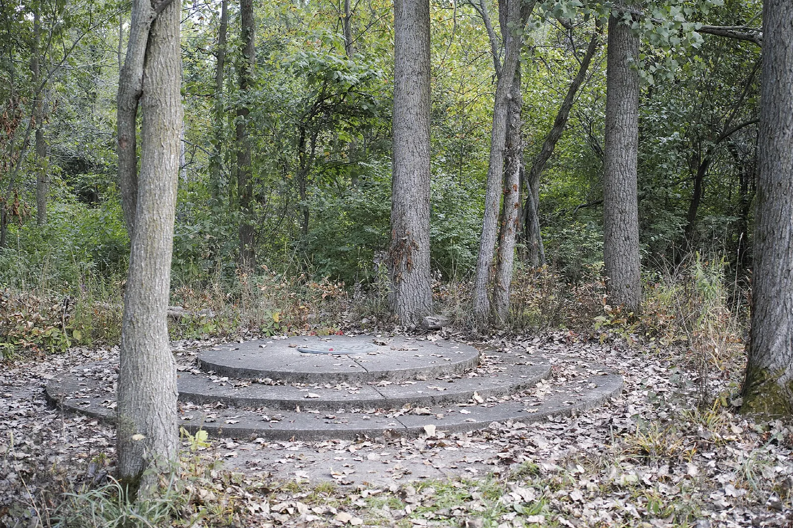 Round stepped stone platform among bare trees and fallen leaves