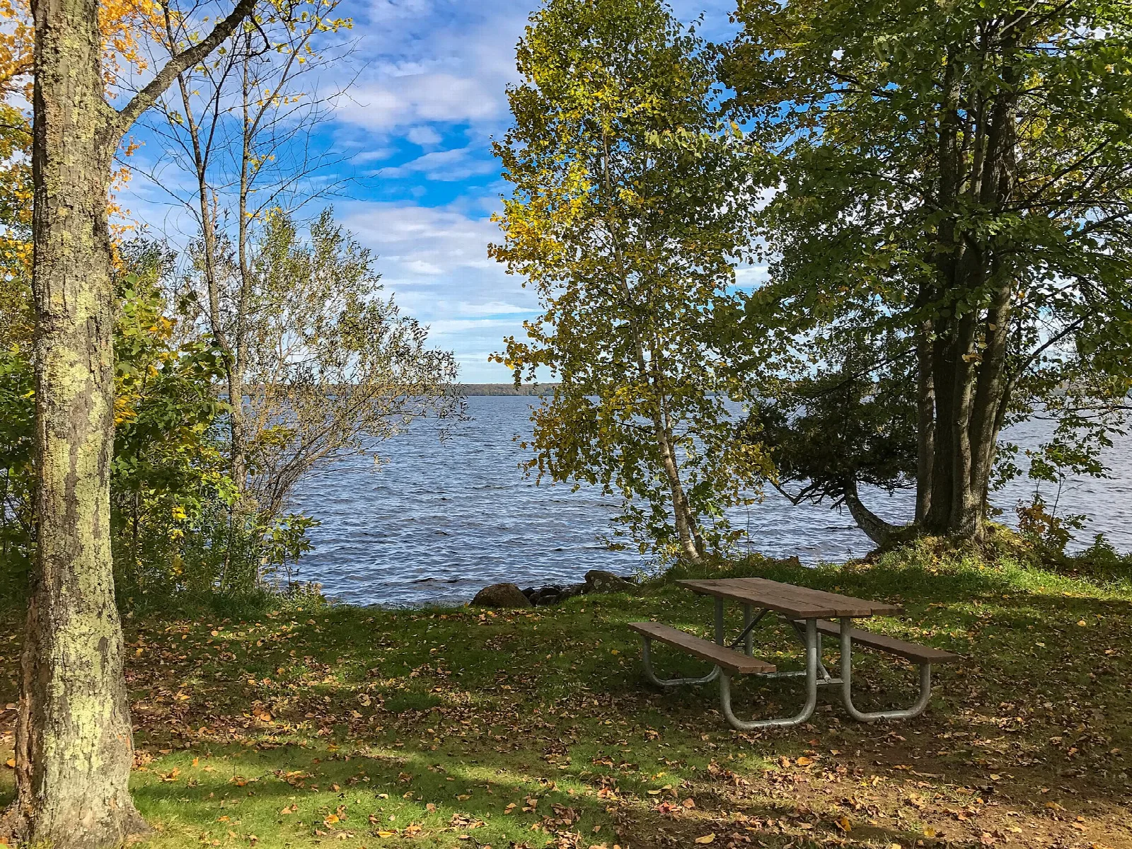 Picnic table on grass under trees beside a wide lake