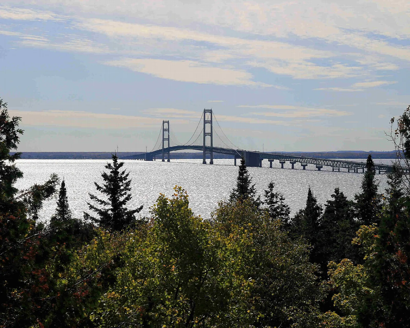 Mackinac Bridge on the horizon above evergreen and hardwood trees