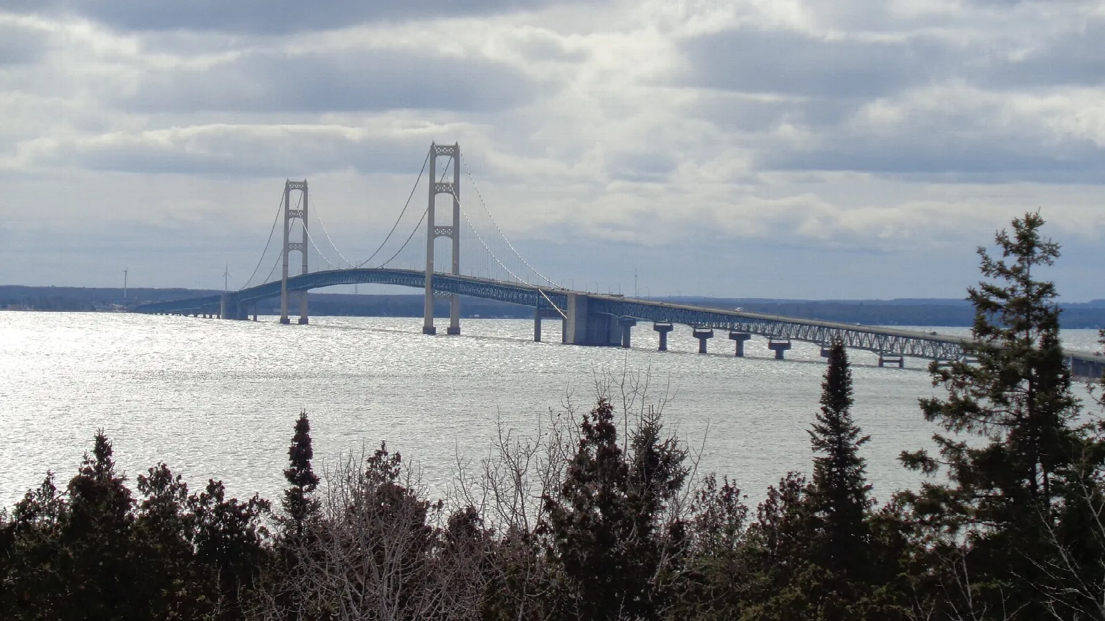 Mackinac Bridge across gray water seen through trees