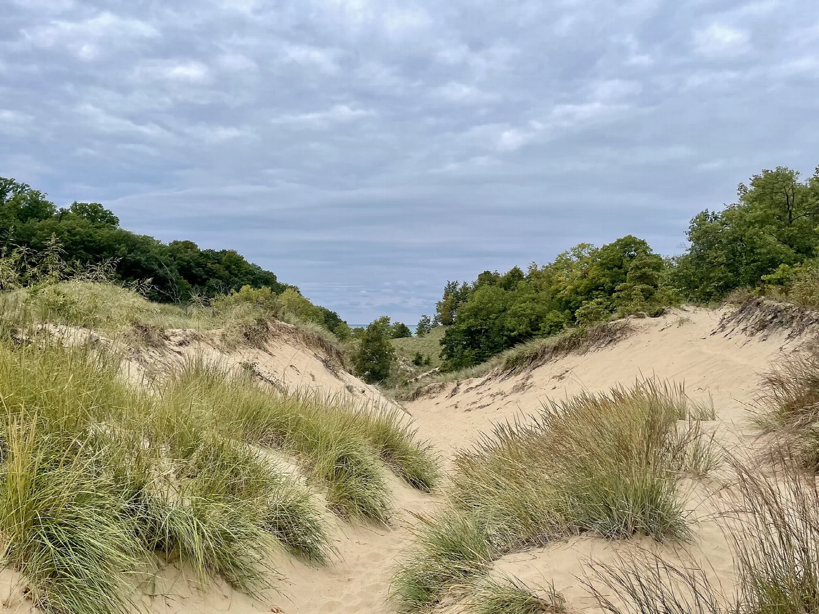 Sand dunes with beach grass under scattered clouds