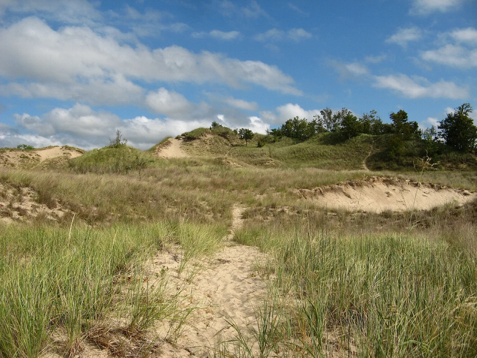 Grassy dunes with a sandy path under a blue sky