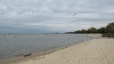 Bay City State Park