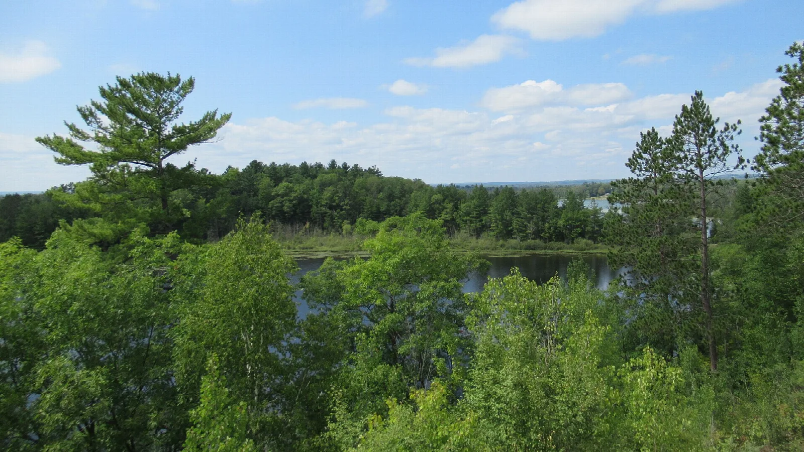 Green trees on a hillside above a distant lake under a blue sky