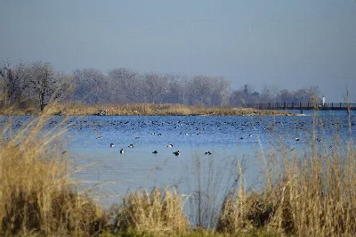 Belle Isle Park (leased from City of Detroit)
