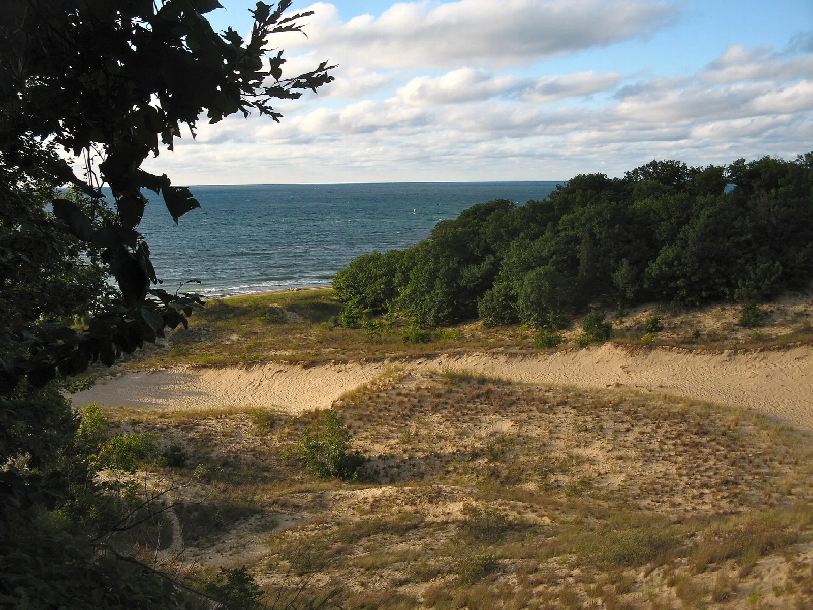 Wooded dunes and open sand overlooking Lake Michigan