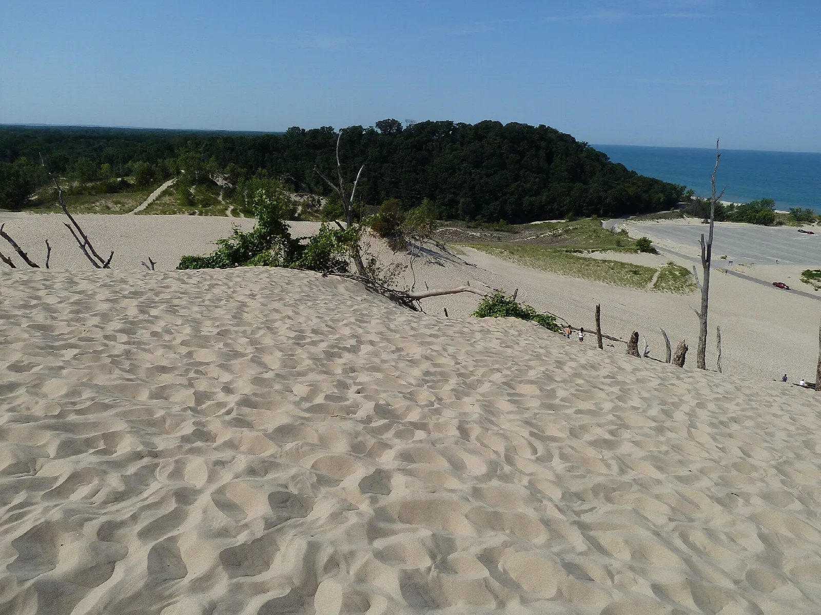 Wide open sand dune with forested dunes and the lake behind
