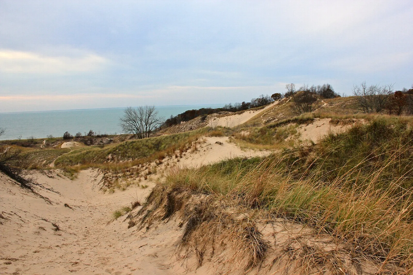 Grassy sand dunes with Lake Michigan beyond