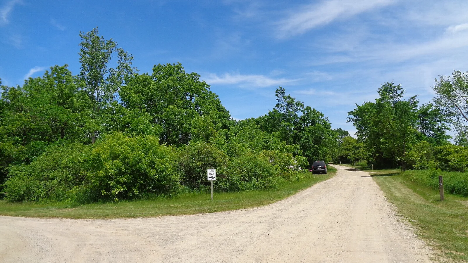 Gravel road through green trees and brush