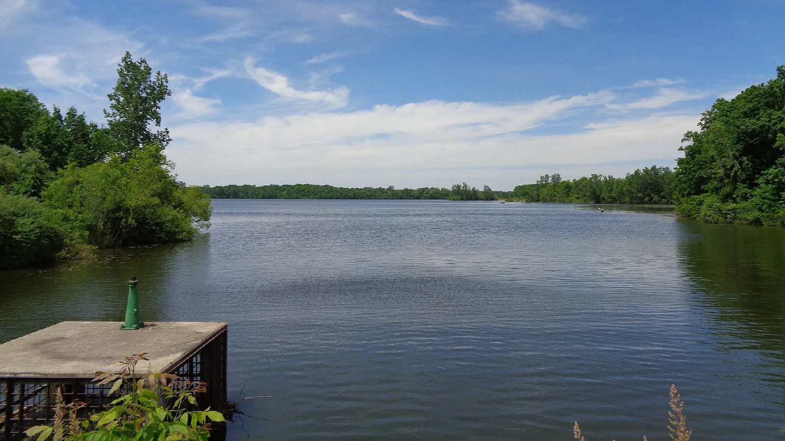 Calm lake with a dock and tree-lined shore