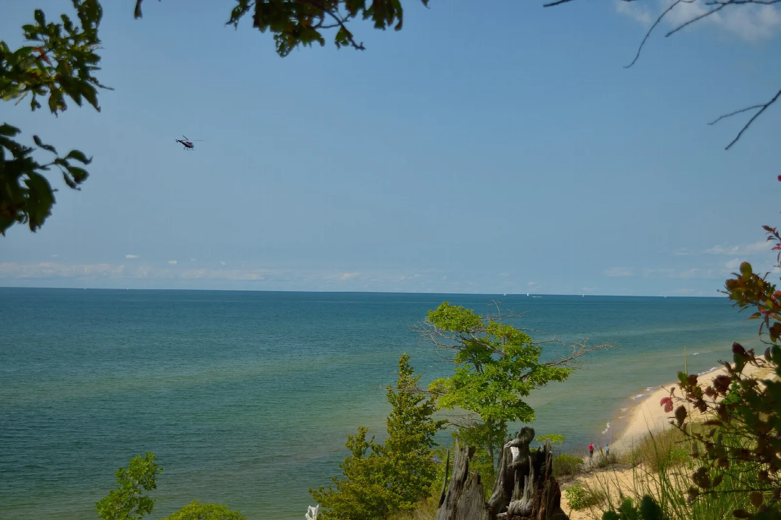 Lake Michigan seen through trees from a dune