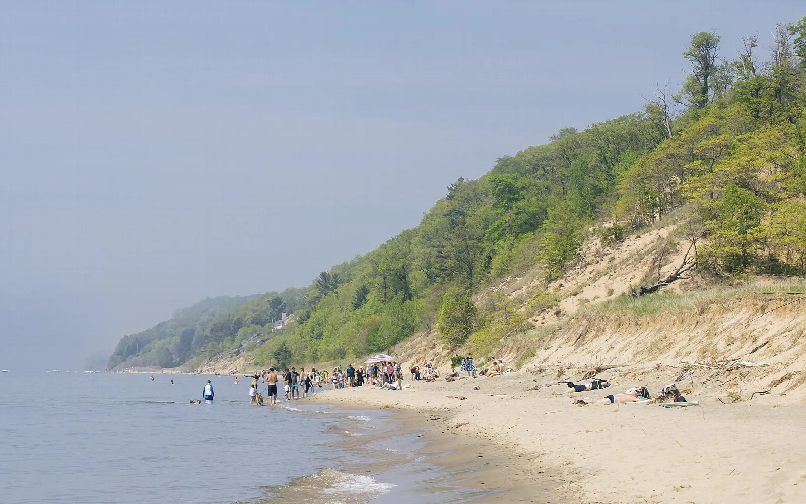 Wooded dune bluff above a beach with people along the water