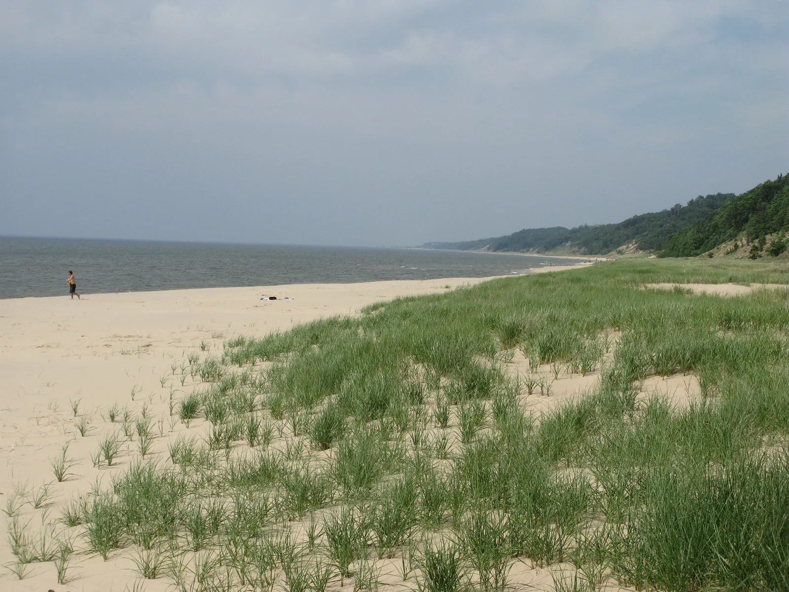 Sandy beach with beach grass beside Lake Michigan