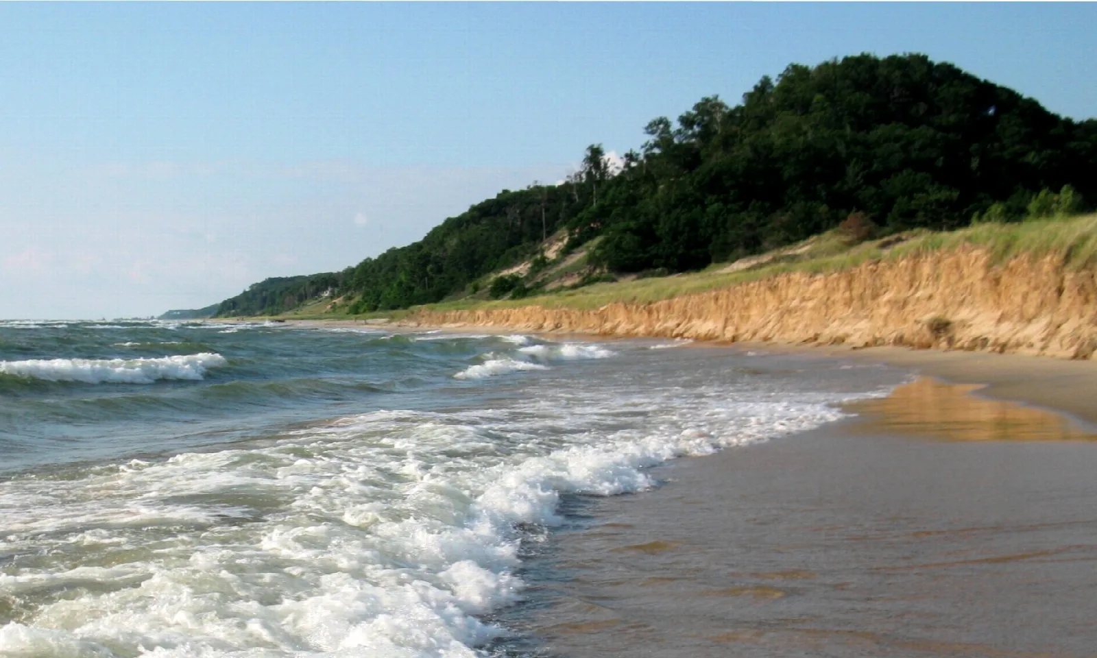 Waves on a beach below a large tree-covered dune