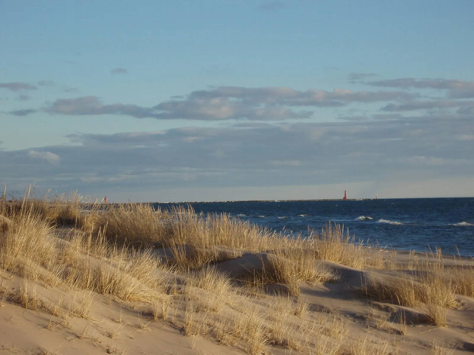 Beach grass on a dune with Lake Michigan and a distant lighthouse