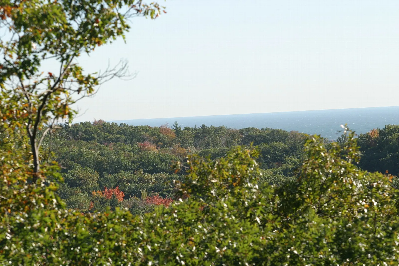 Forested dunes and Lake Michigan seen from the blockhouse lookout