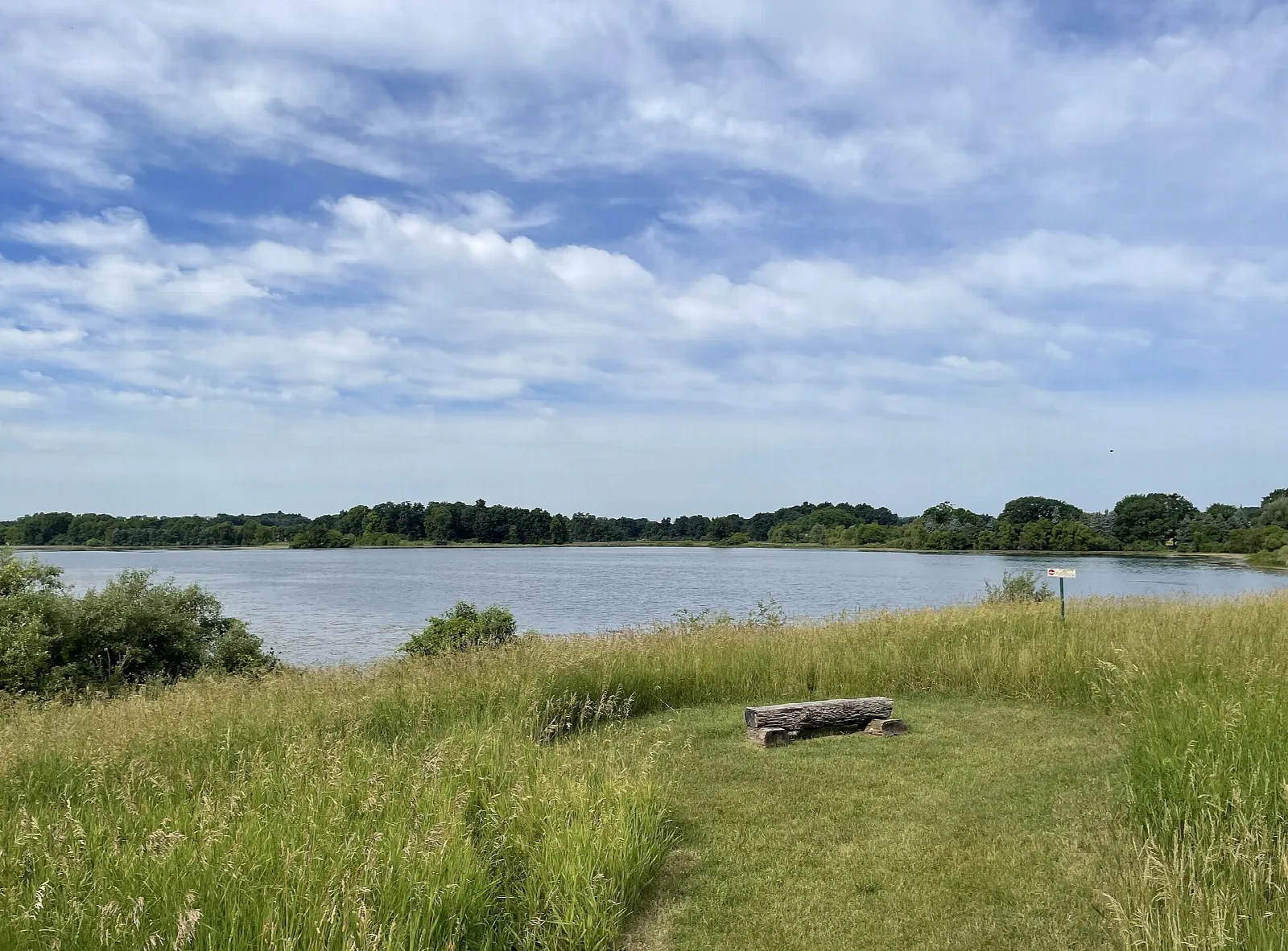 Log bench on a mown path in tall grass above a lake
