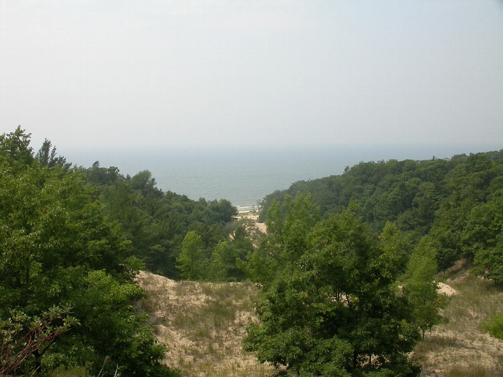 Forested sand dunes overlooking Lake Michigan