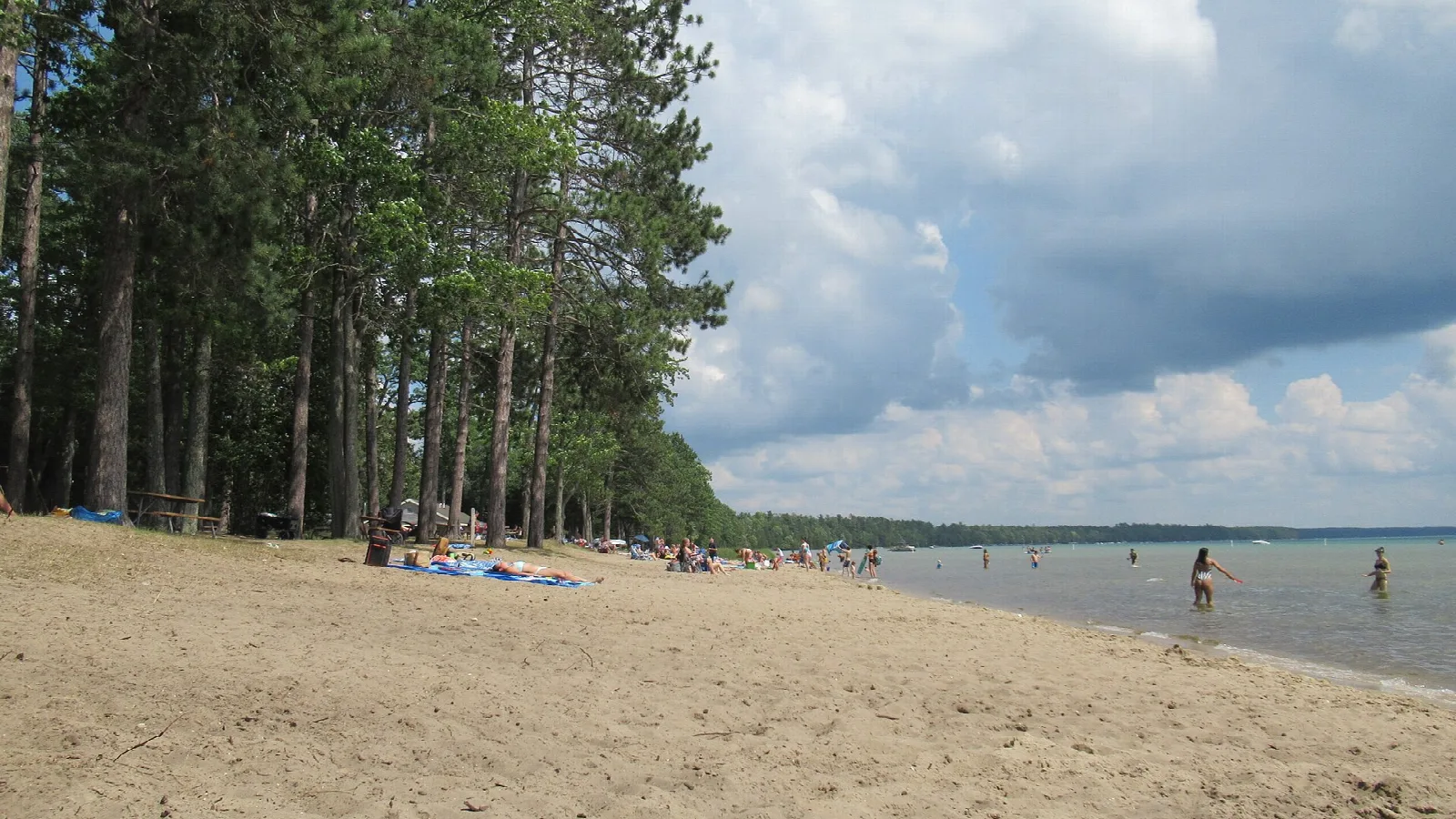 Wide sandy beach with swimmers and pines beside the lake