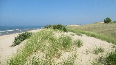 Ludington State Park