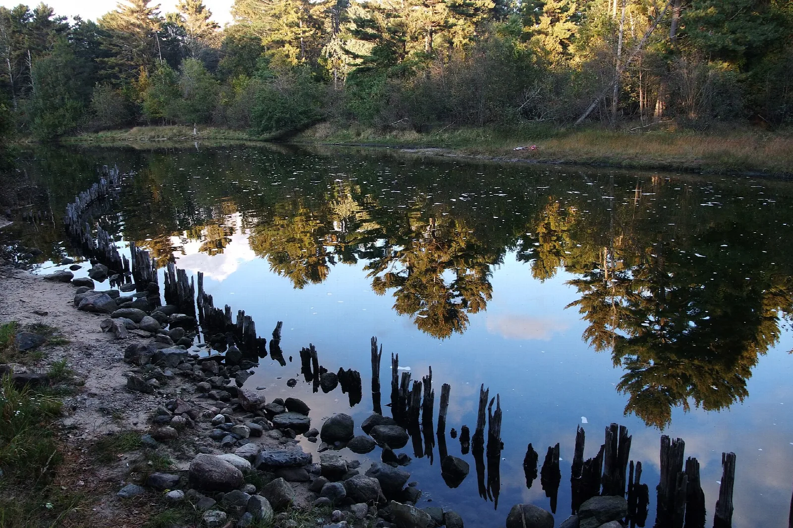 Calm river with old pilings reflecting autumn trees
