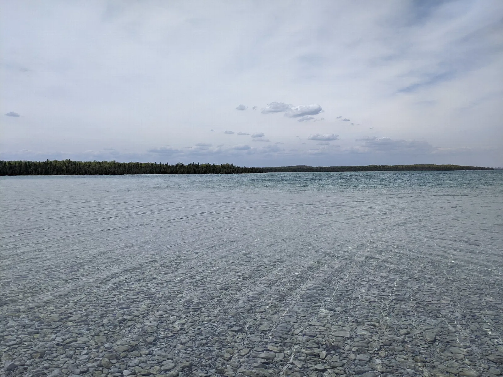 Calm shallow lake water stretching to a distant tree line