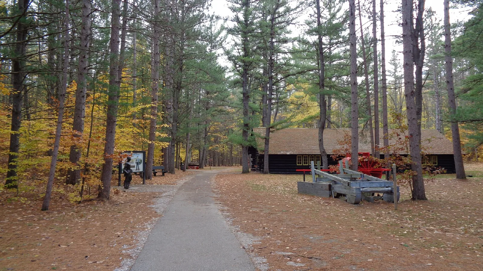 Paved path through pine forest leading to a log building