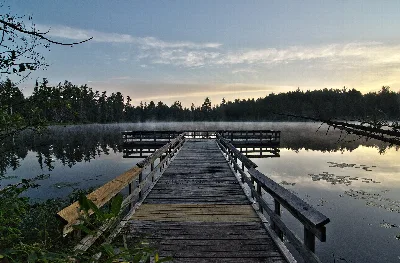 Hartwick Pines State Park