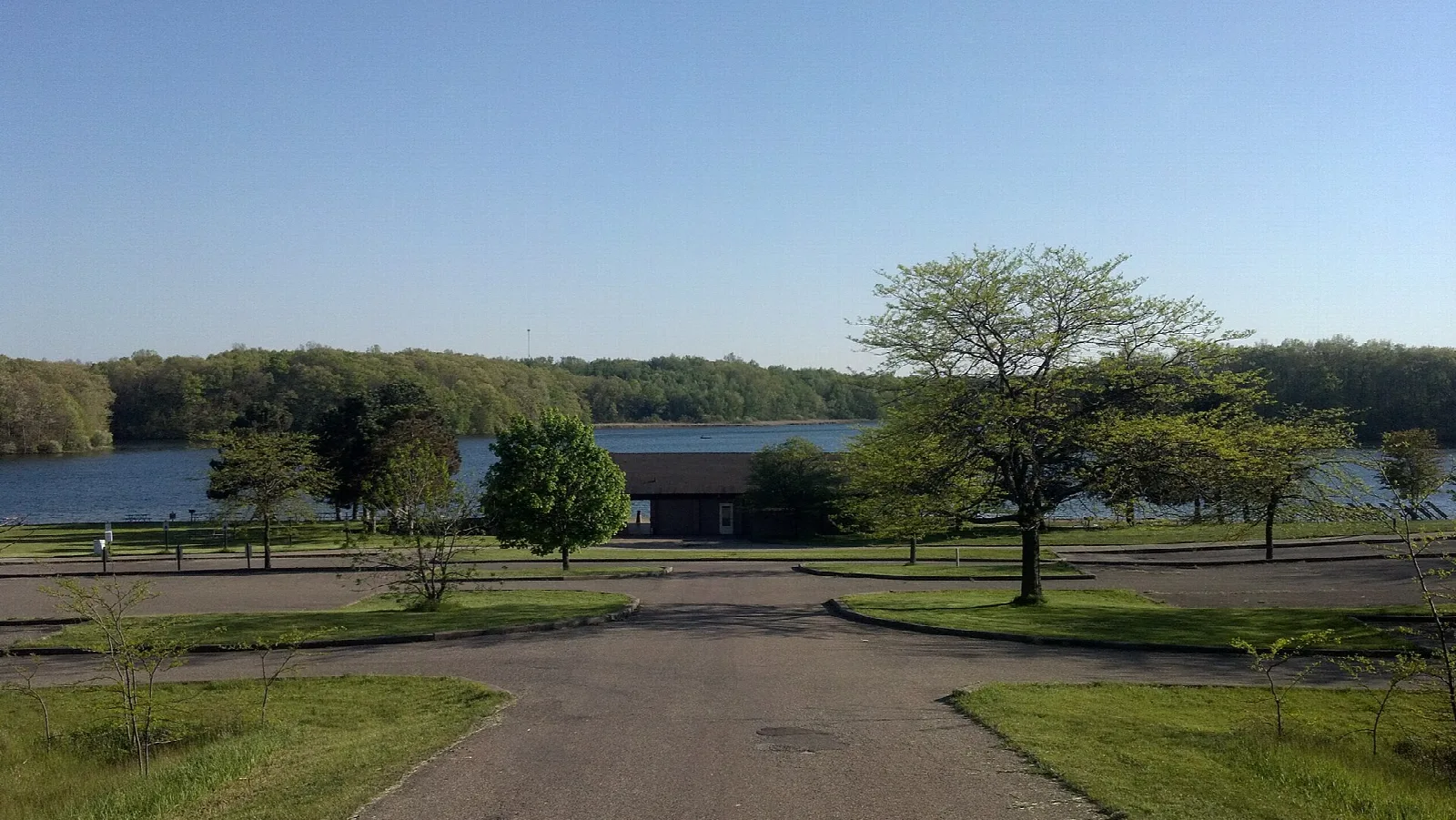 Lawn and a lone tree beside a lake with a low building on the far shore