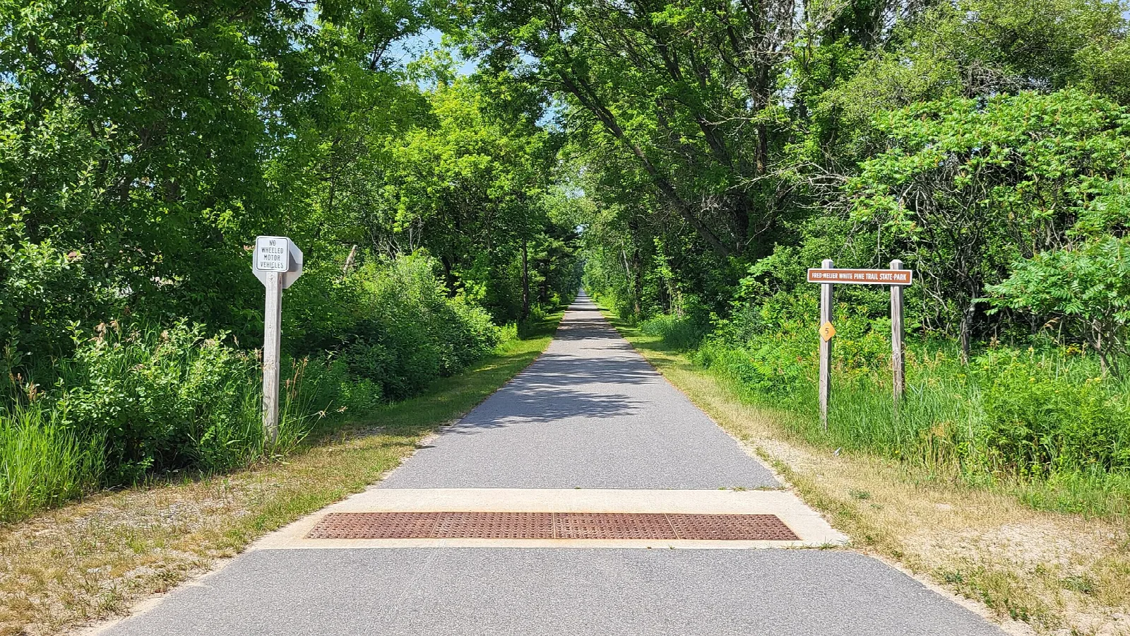 Paved trail running straight through green trees