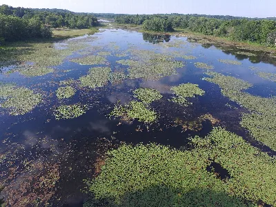 Brighton Recreation Area