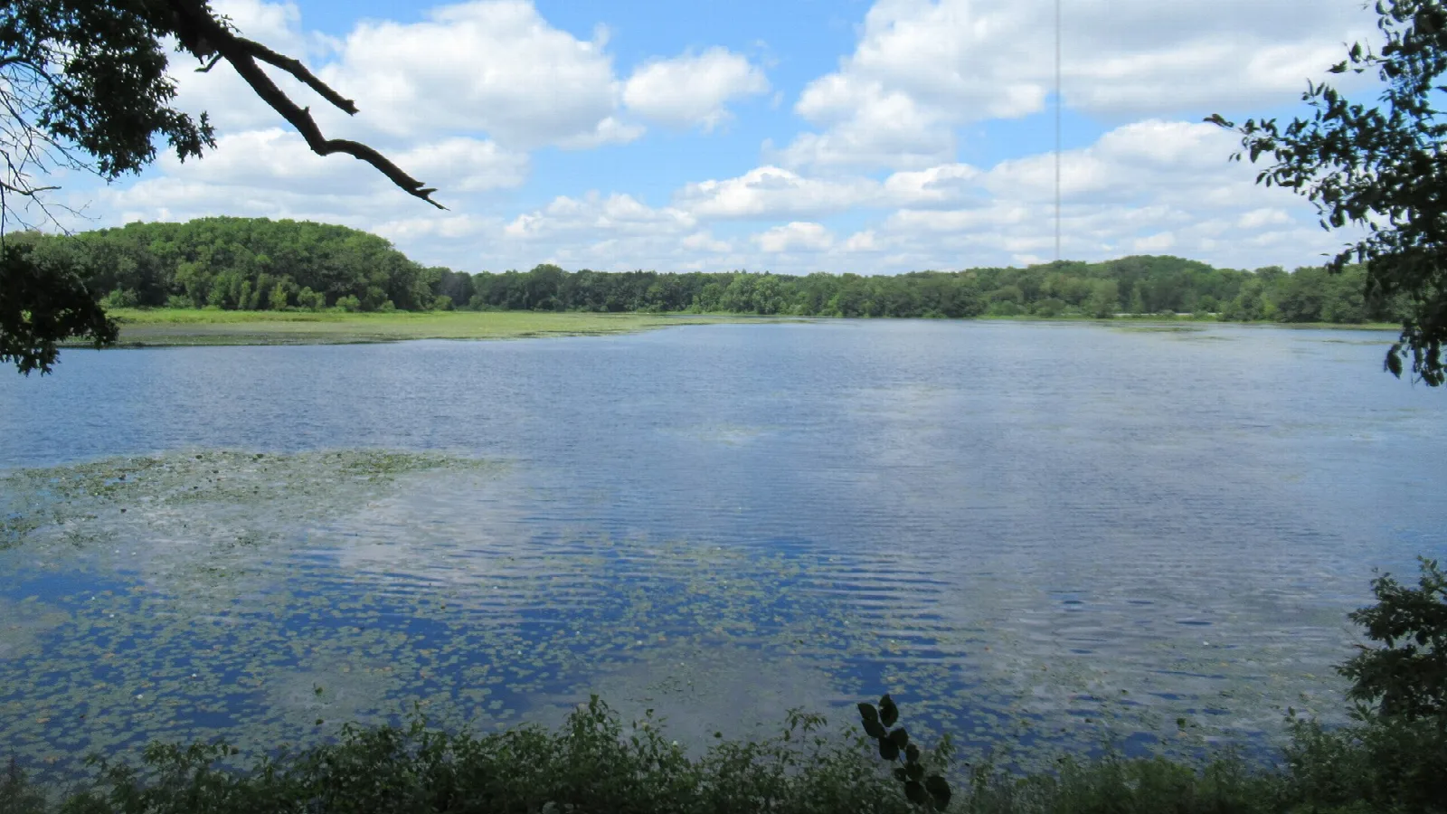 Wide lake with wooded shores under a blue sky with clouds