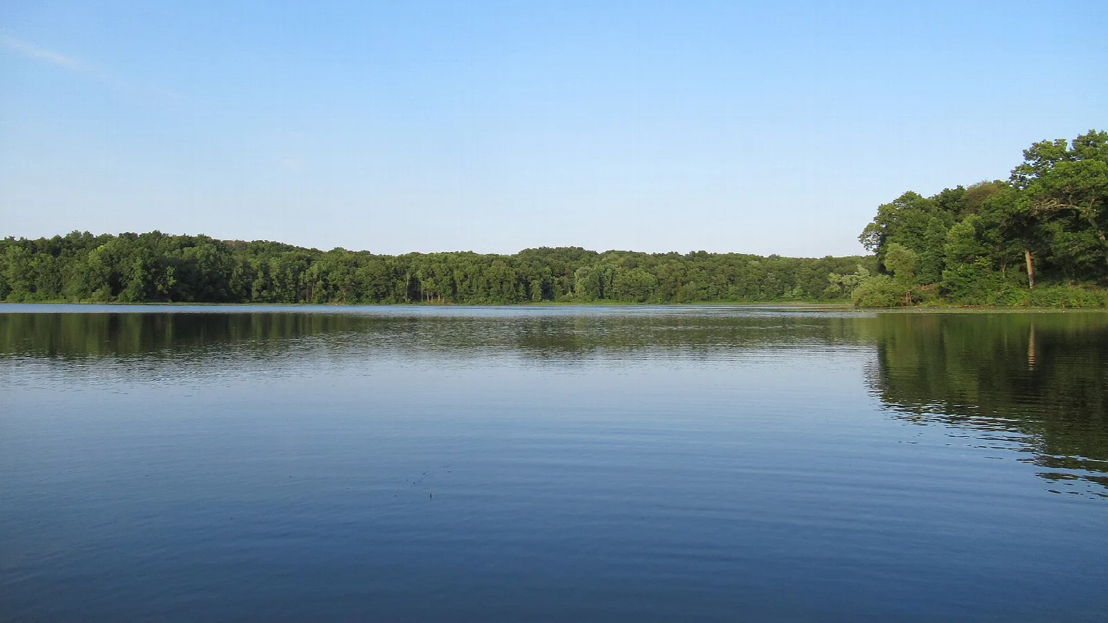 Calm blue lake with a tree-lined far shore