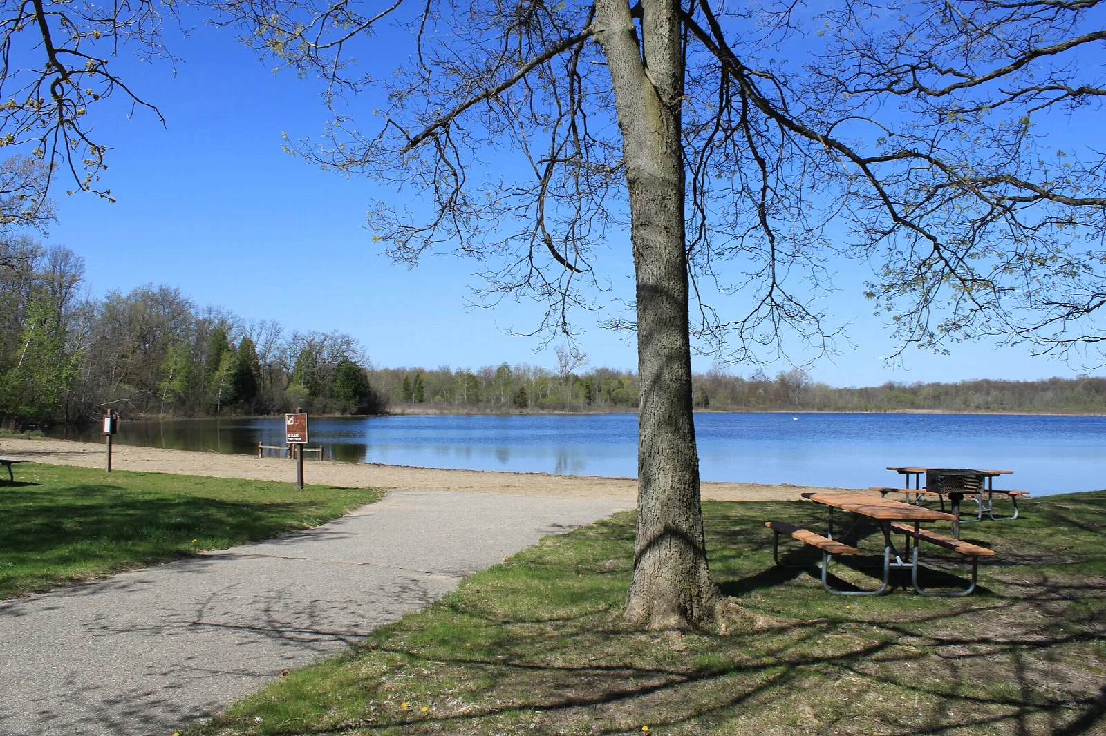 Paved path and picnic tables beside a blue lake under bare trees