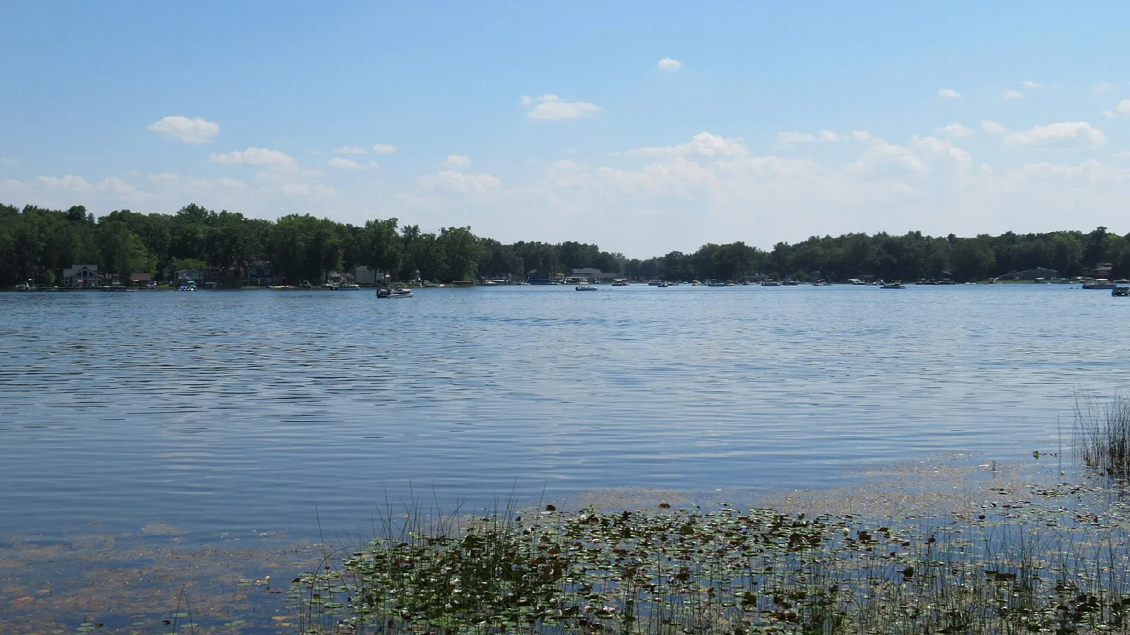 Calm lake with lily pads along the near shore and trees across the water