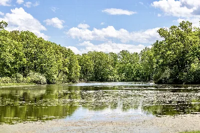 Bald Mountain Recreation Area
