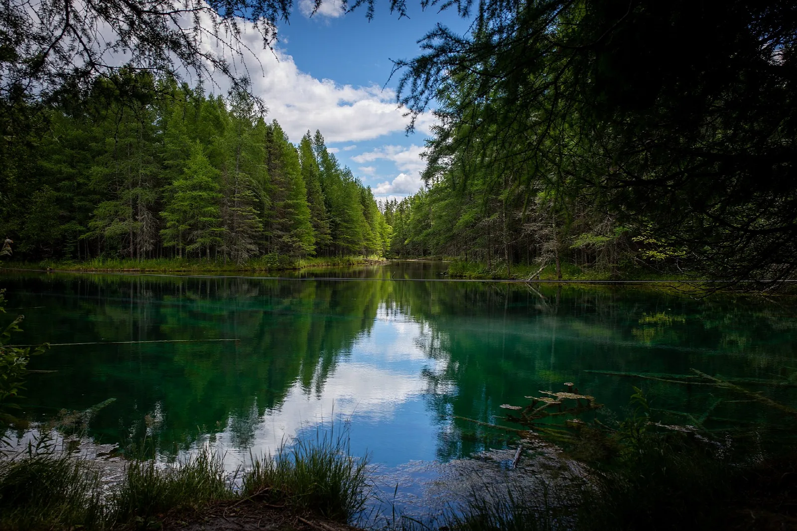 Still green spring reflecting evergreens and sky