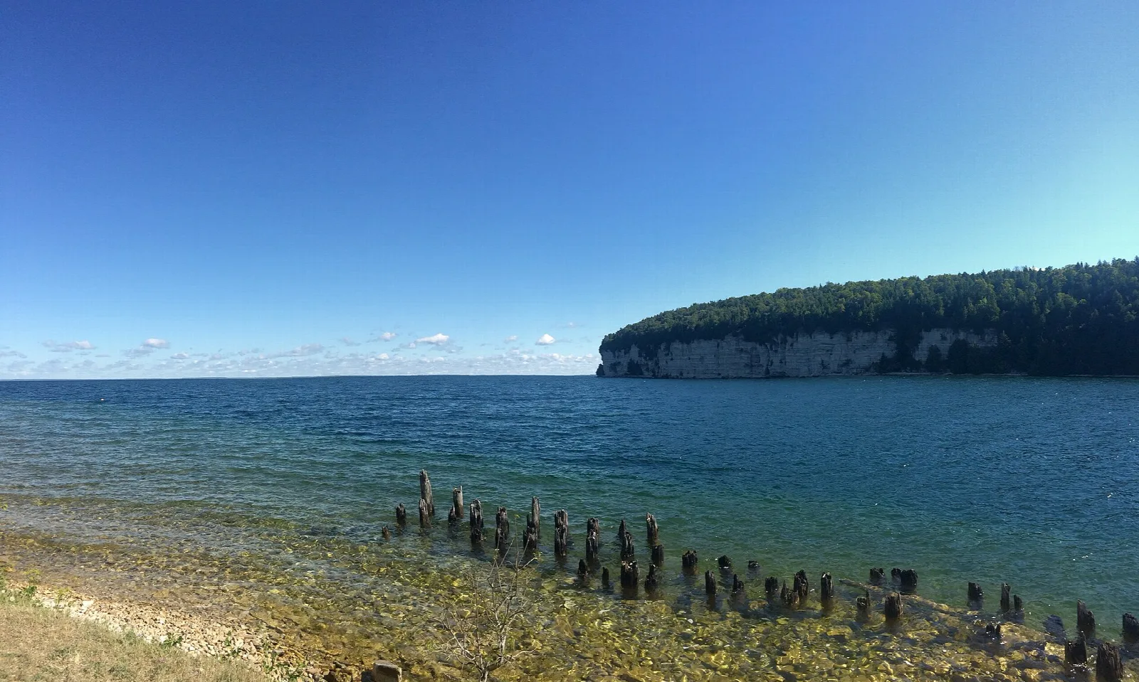 Old wooden pilings in clear blue water below a wooded bluff