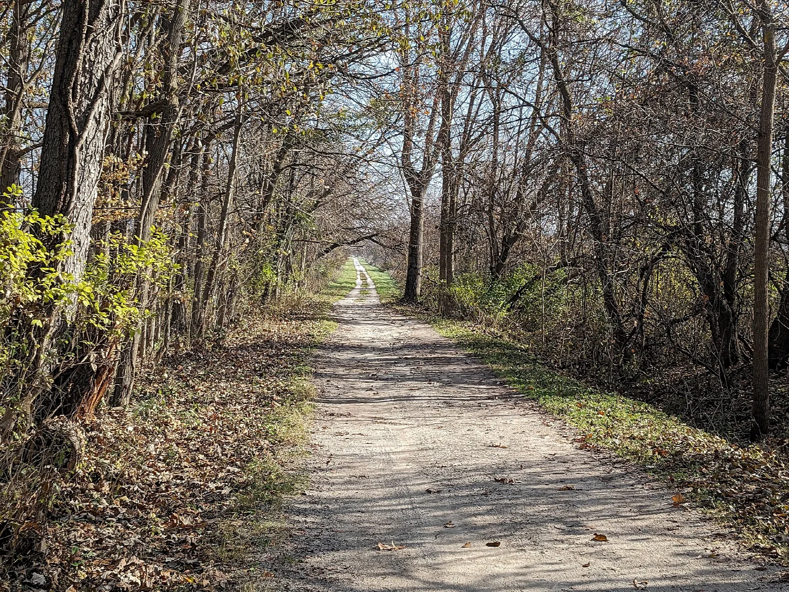 Crushed-stone rail trail running straight through bare autumn woods
